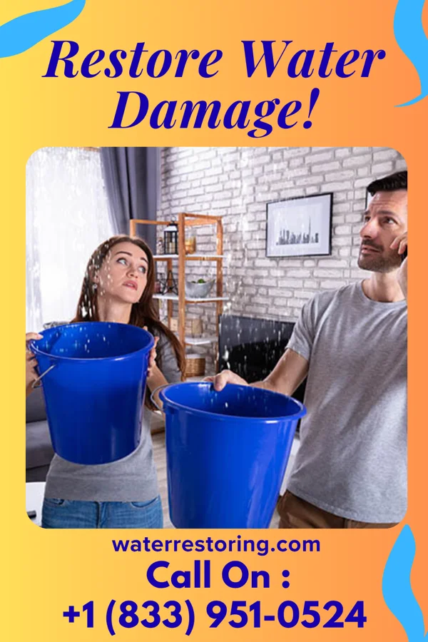 water restoration Best Restoration Group Palmer